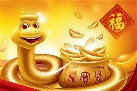 蛇年出生|属蛇有哪些年份 生肖蛇年是哪几年